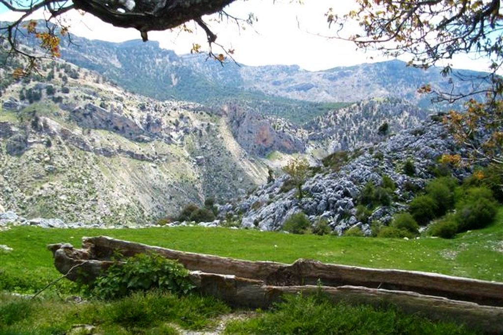 BARRANCO DE LA OSA