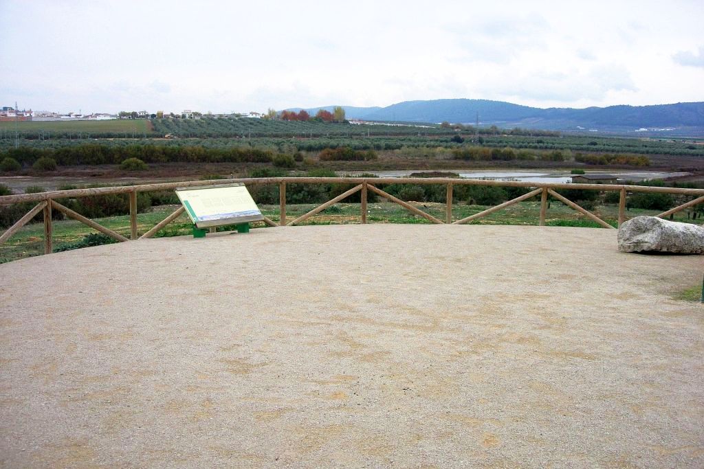 EL LAGUNETO