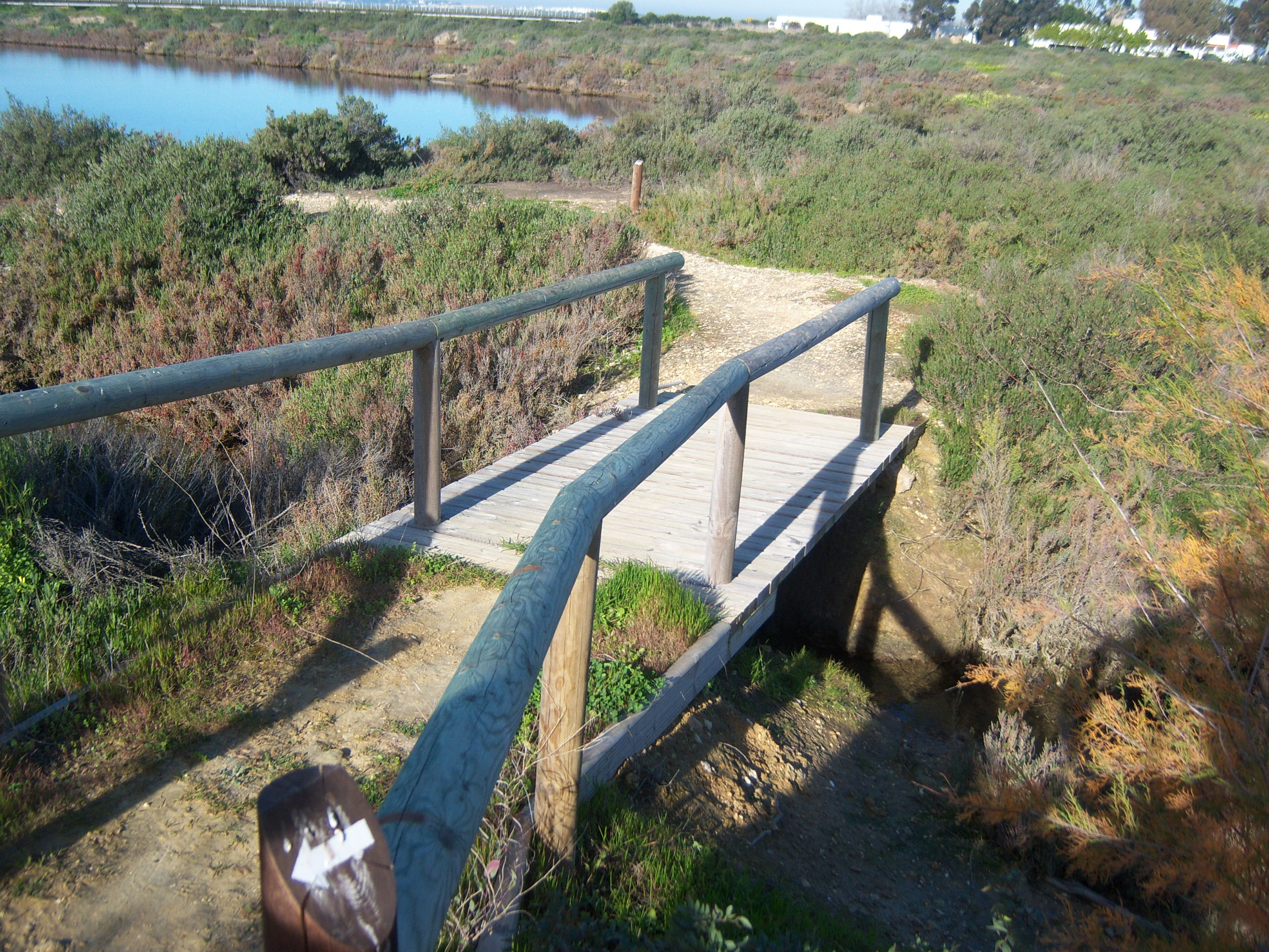 SALINAS DE BACUTA