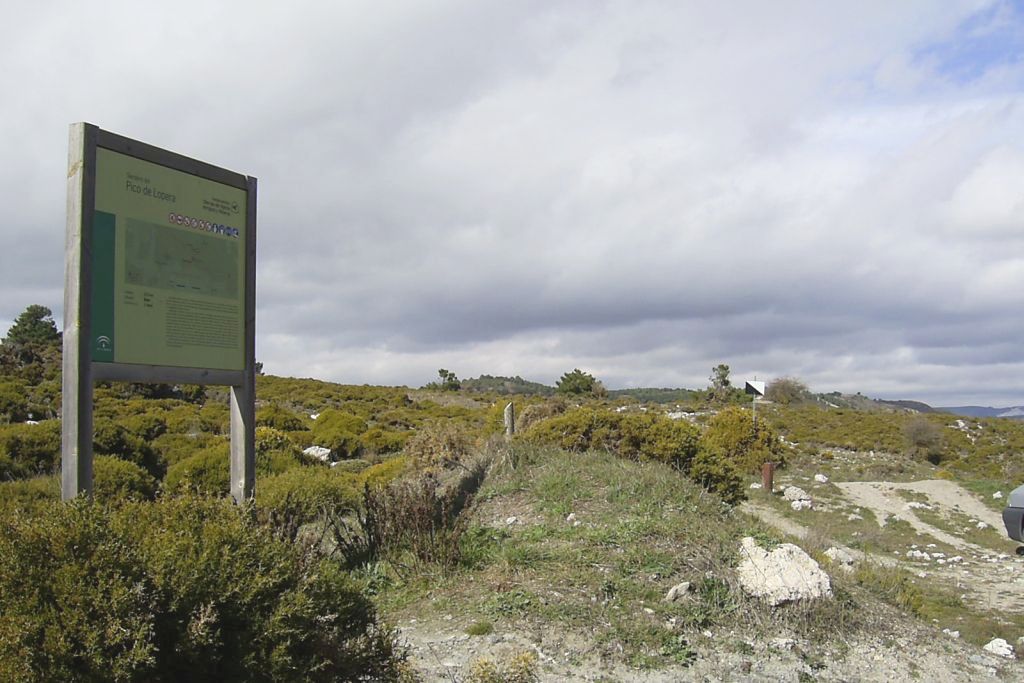 PICO DE LOPERA