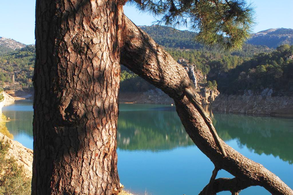 EMBALSE DE AGUASCEBAS