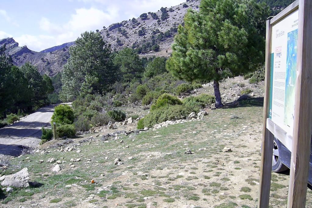 CERRO DEL BUITRE
