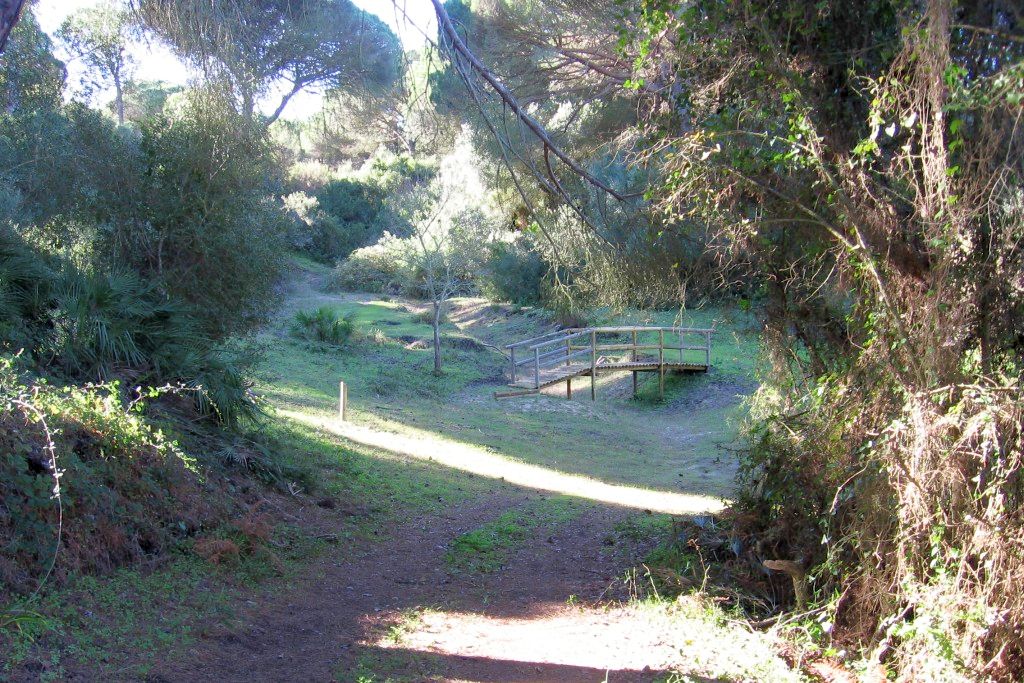 ARROYO MONDRAGÓN