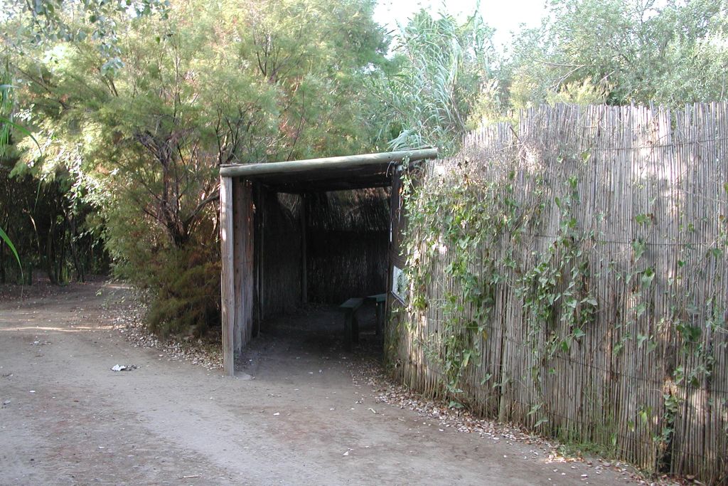 AVETORILLO
