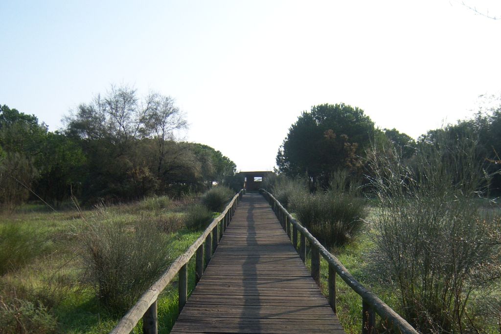 LA JARA