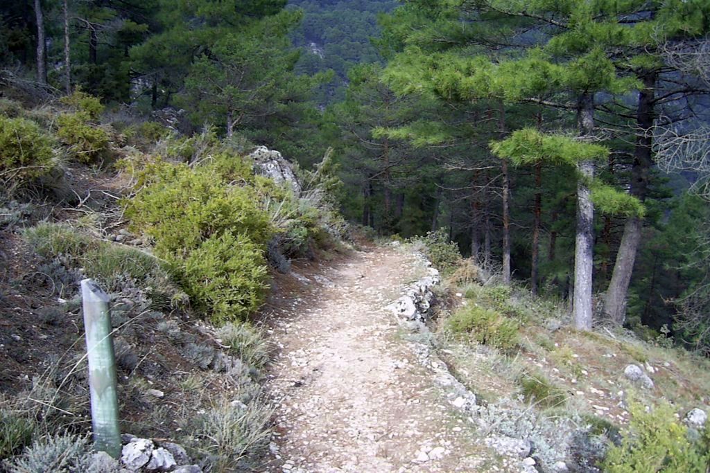 CUEVA DEL AGUA