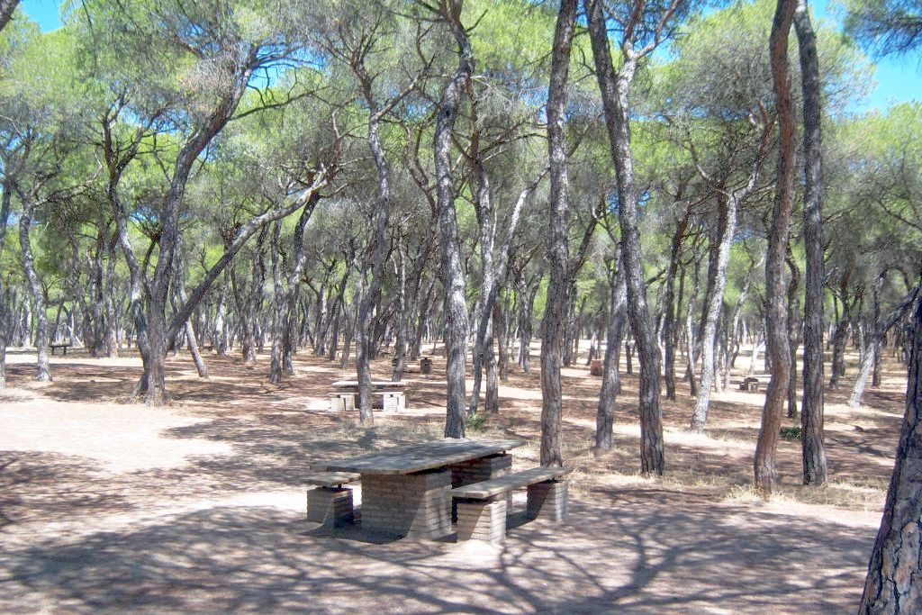 LA SORDA