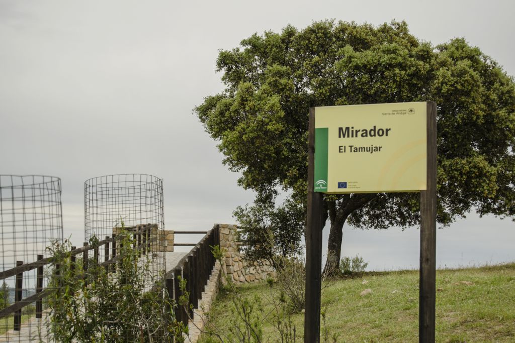 EL TAMUJAR