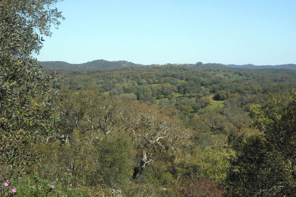  HUERTA DEL REY