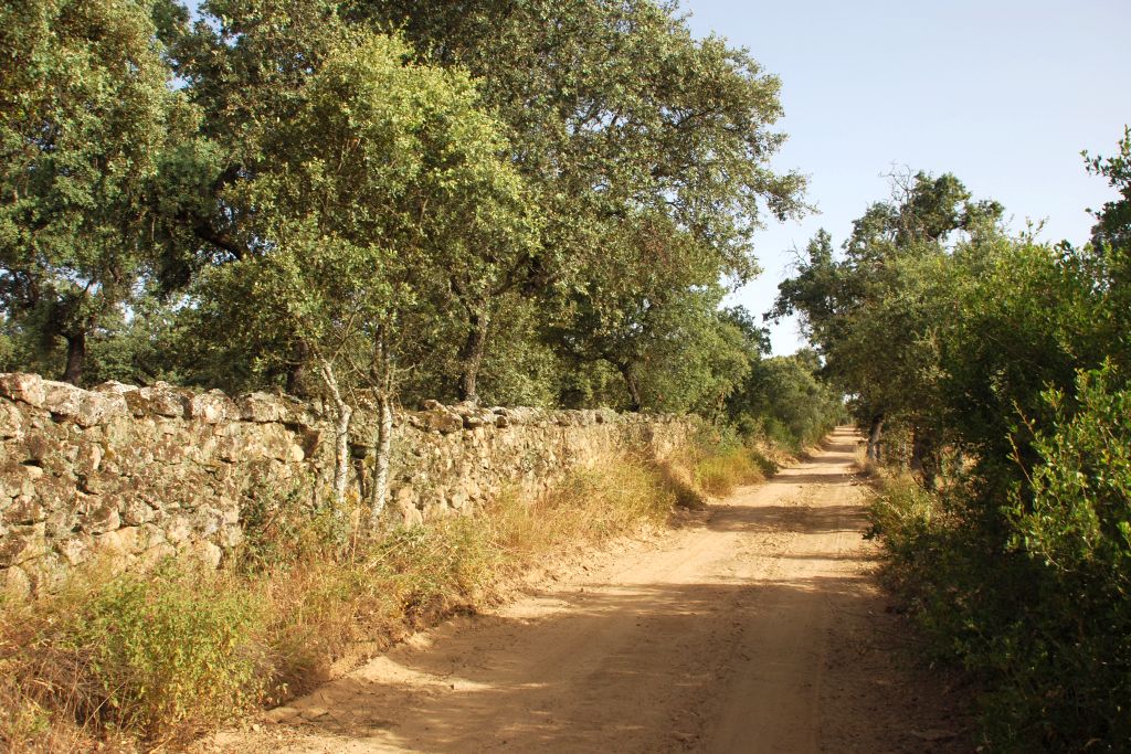 CAMINO DEL CARRIZO Y DEL RELOJ