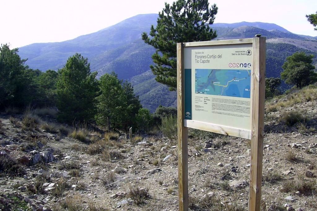 FLORANES - CORTIJO DEL TÍO CAPOTE