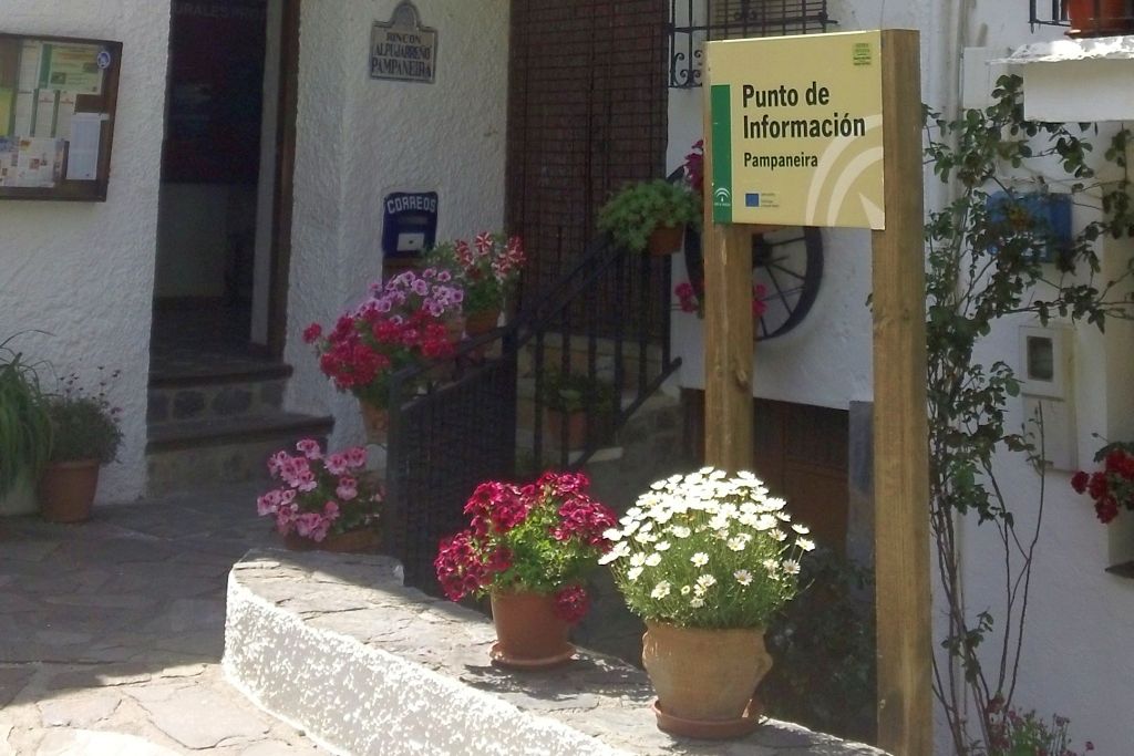 PAMPANEIRA