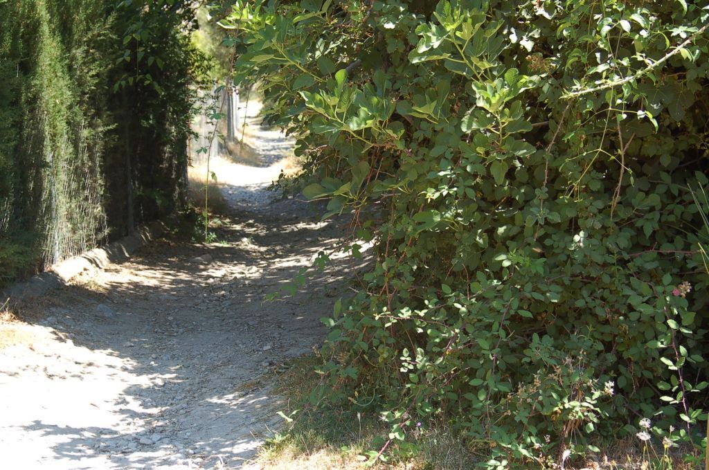 CORTIJO DEL NACIMIENTO - PRADOS DEL CONDE