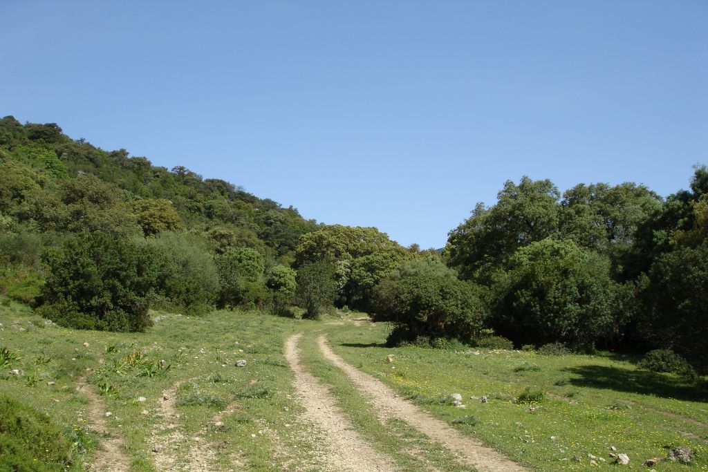 LLANOS DEL BERRAL