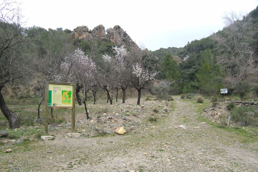 EL AGUADERO