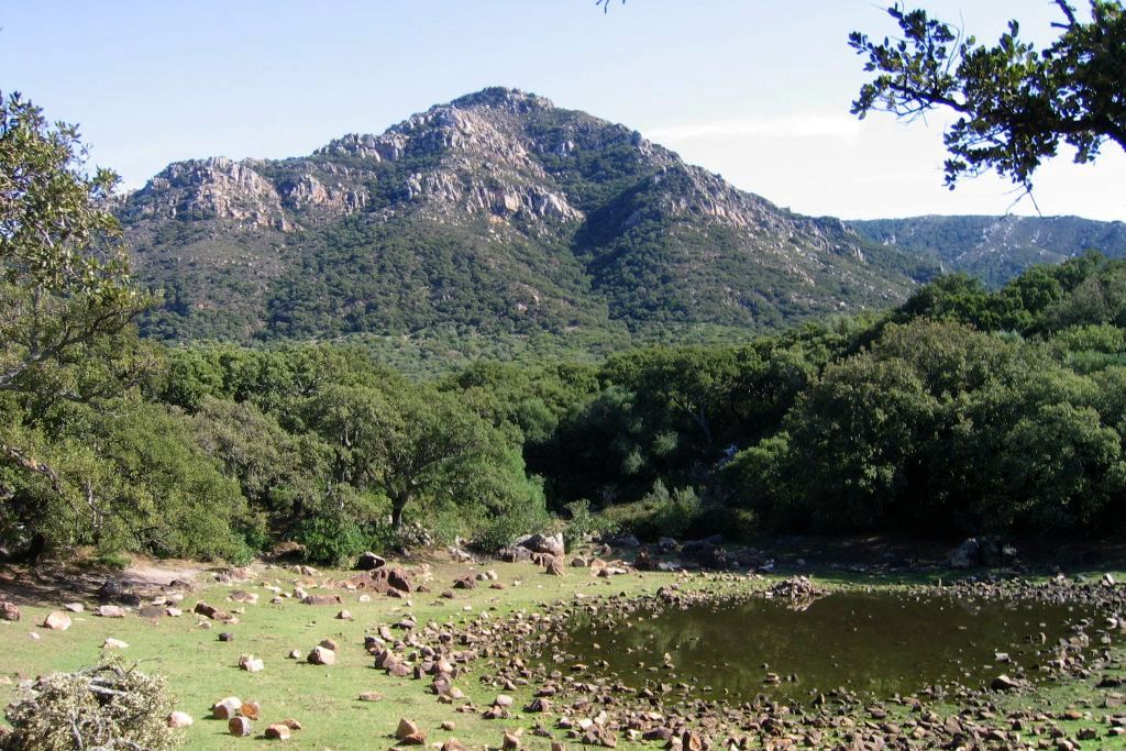 GARGANTA DE PUERTO OSCURO