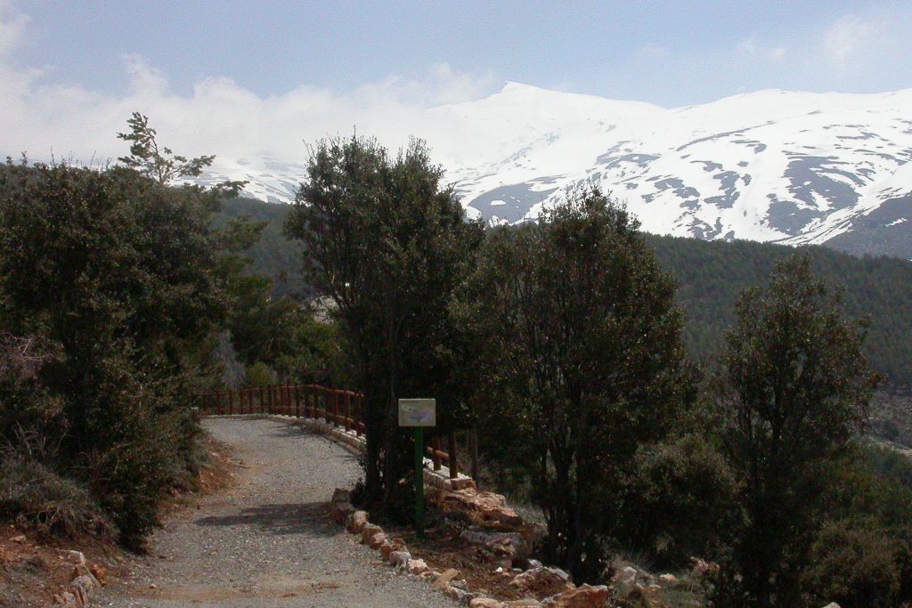 HOYA DE PEDRAZA