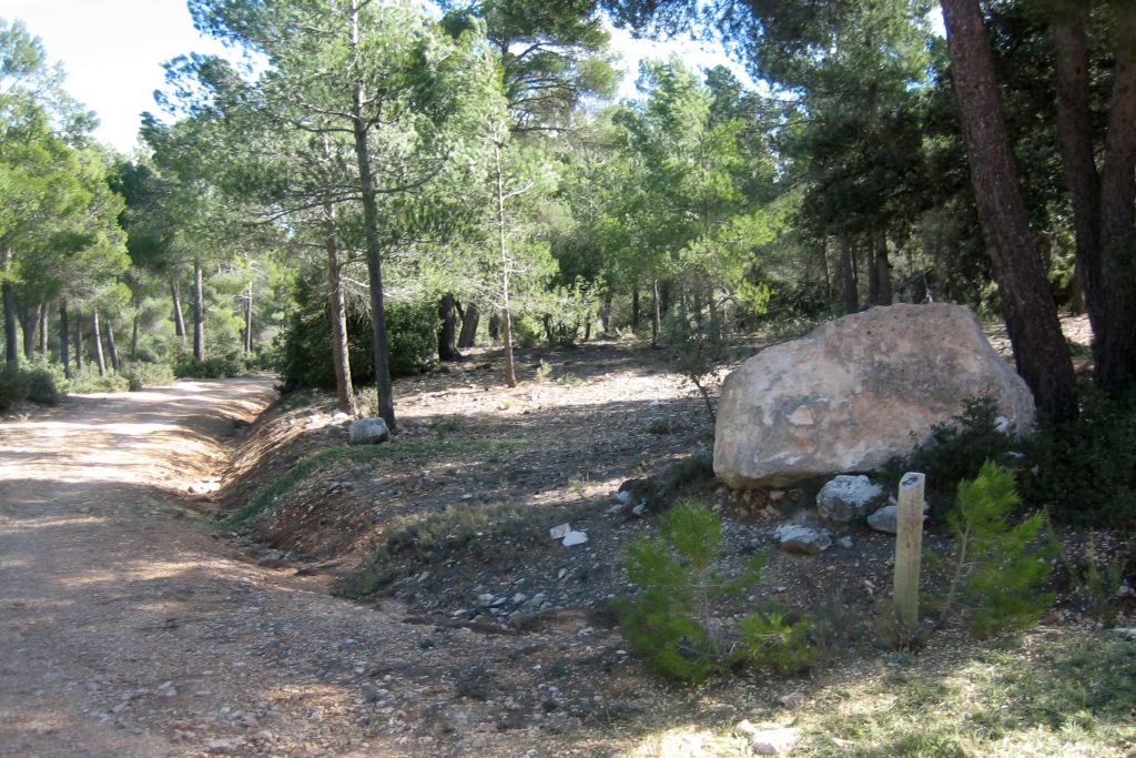 PINAR DE LAS MUELAS Y HOYA DE TAIBENA