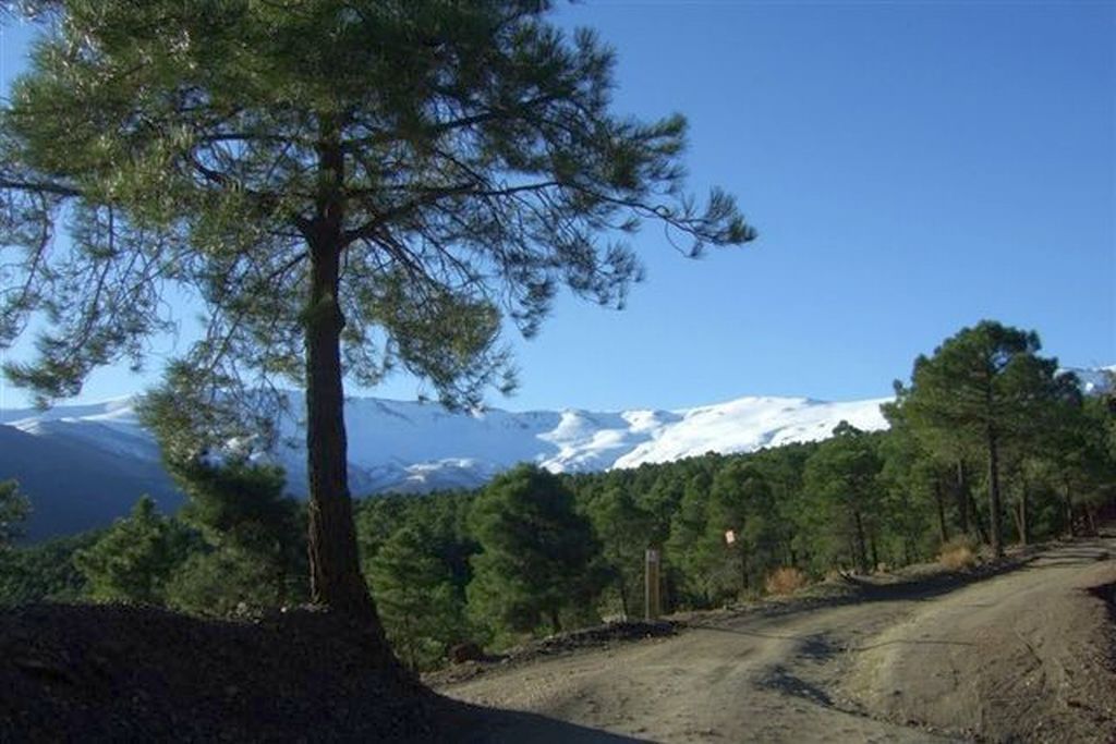 RUTA B: LANTEIRA - POSTERO ALTO - LANTEIRA