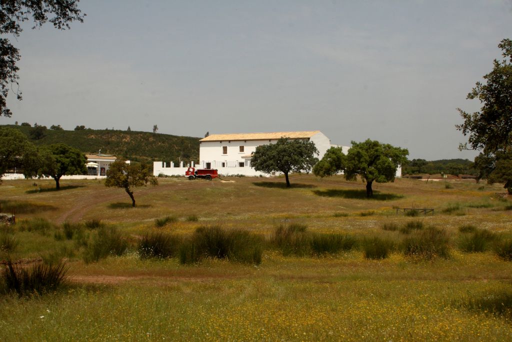 LA MANCHA DEL BERROCAL