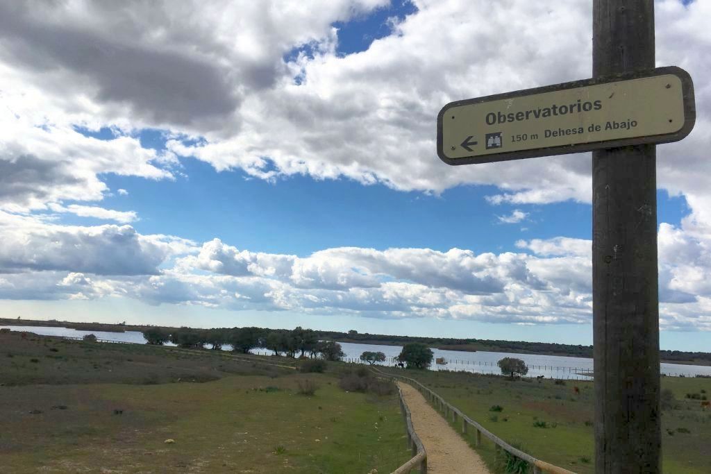 DEHESA DE ABAJO 2