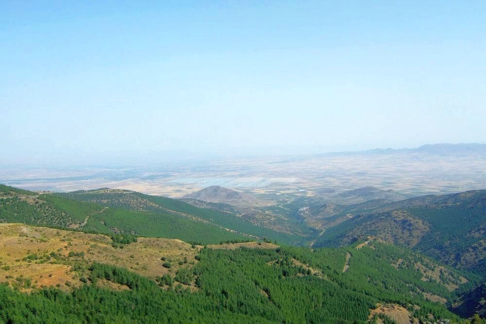 RAGUA - HOYOS DE PURA