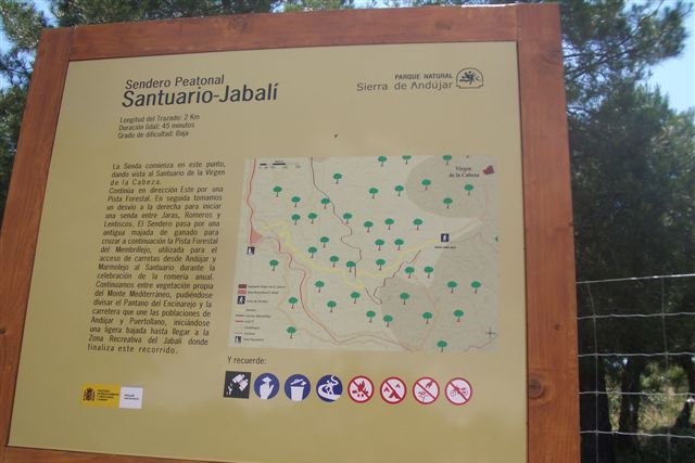 SANTUARIO-JABALÍ