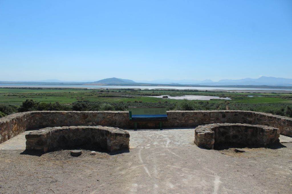  CANTARRANAS
