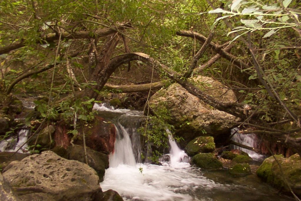 RÍO MAJACEITE