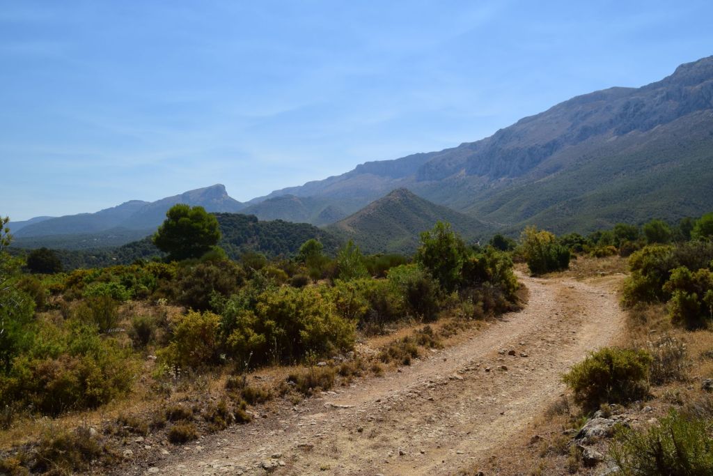 LAS CORZAS - LA MELERA