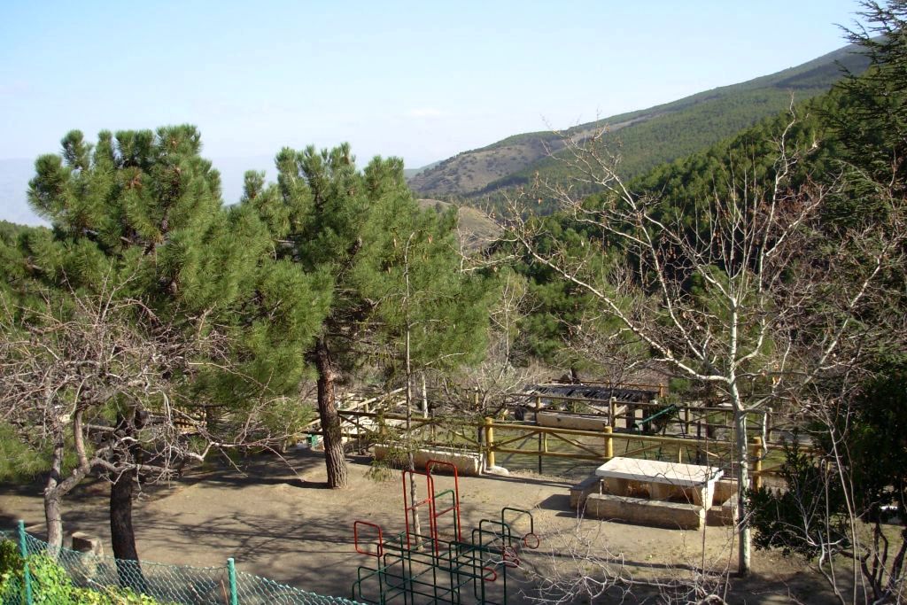 LA ROZA
