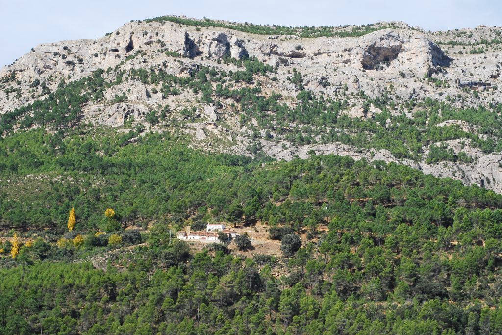 LA TOBA - ANCHURICAS