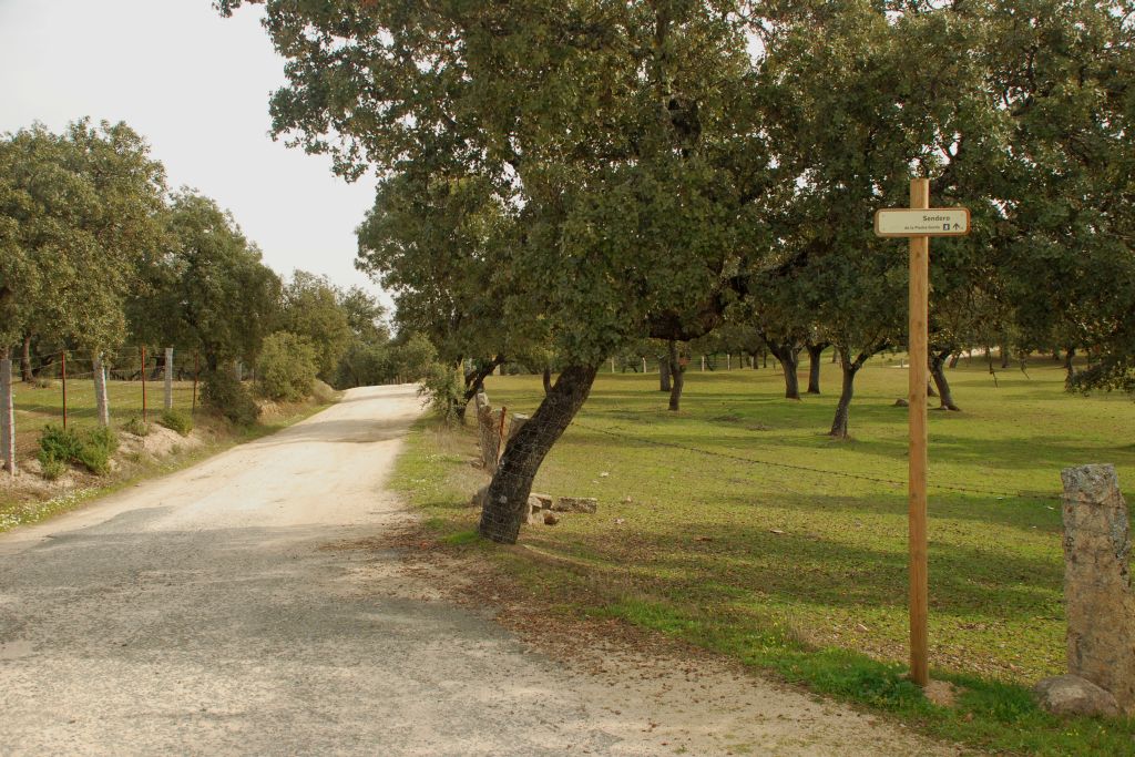 CAMINO DE LA PIEDRA GORDA