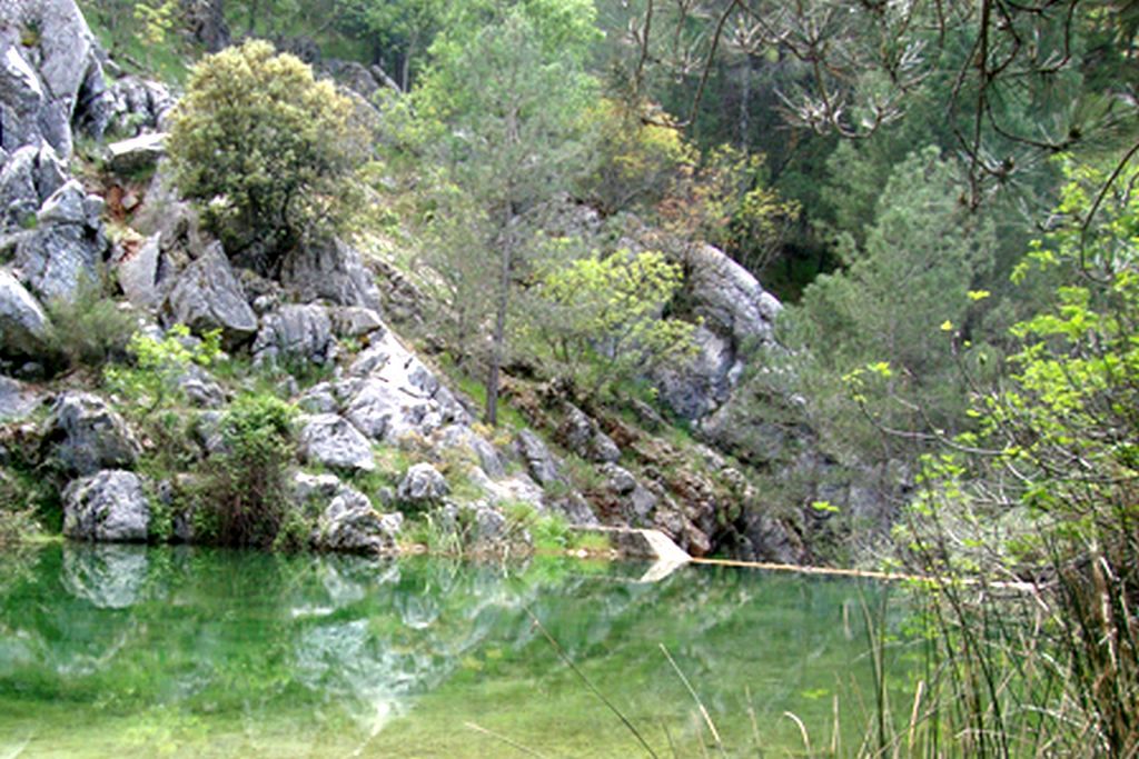 PUENTE DE LAS HERRERÍAS - PINO DE LAS CRUCES