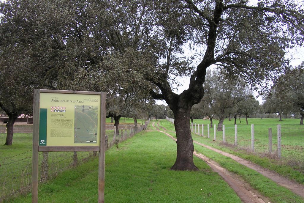 ALDEA DEL CEREZO - AZUEL