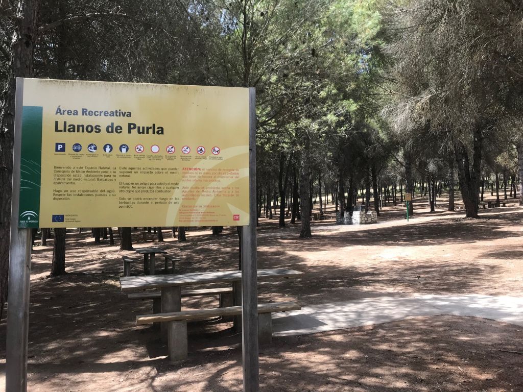 LLANOS DE PURLA