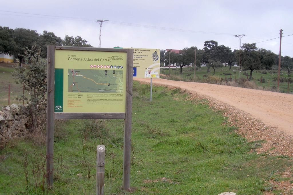 CARDEÑA - ALDEA DEL CEREZO