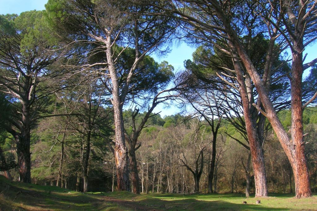 RÍO DE LA CAMPANA