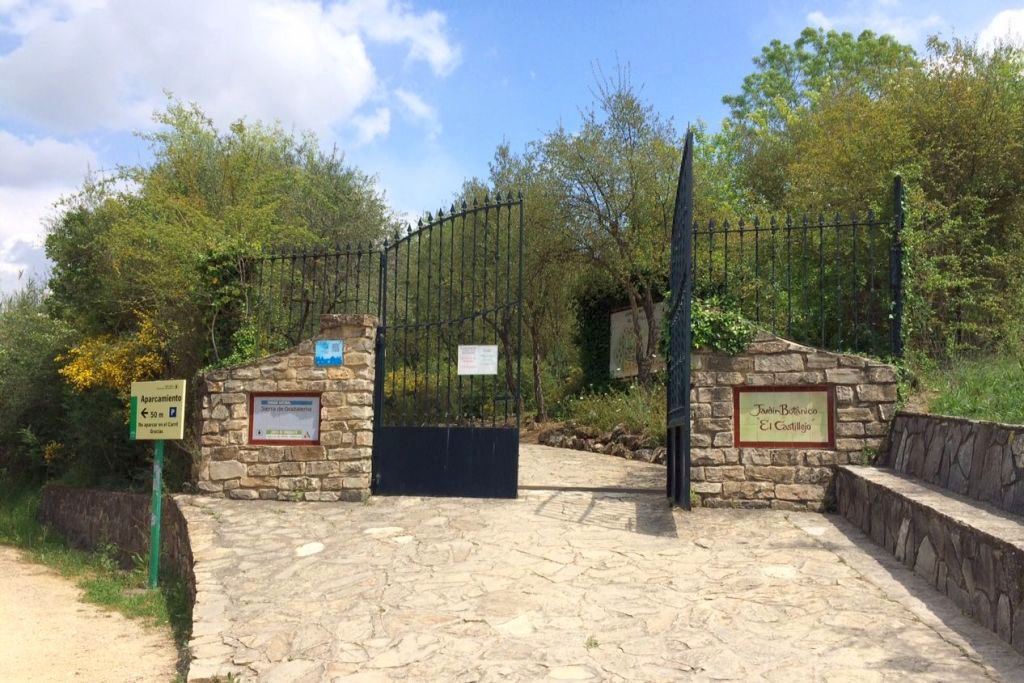 EL CASTILLEJO