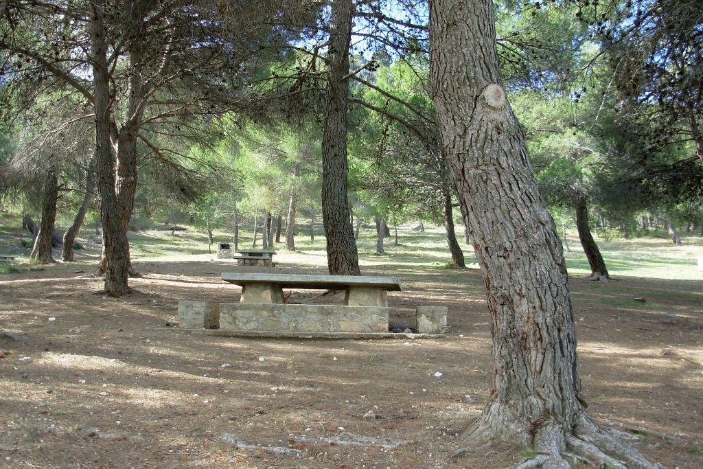 EL SOTILLO