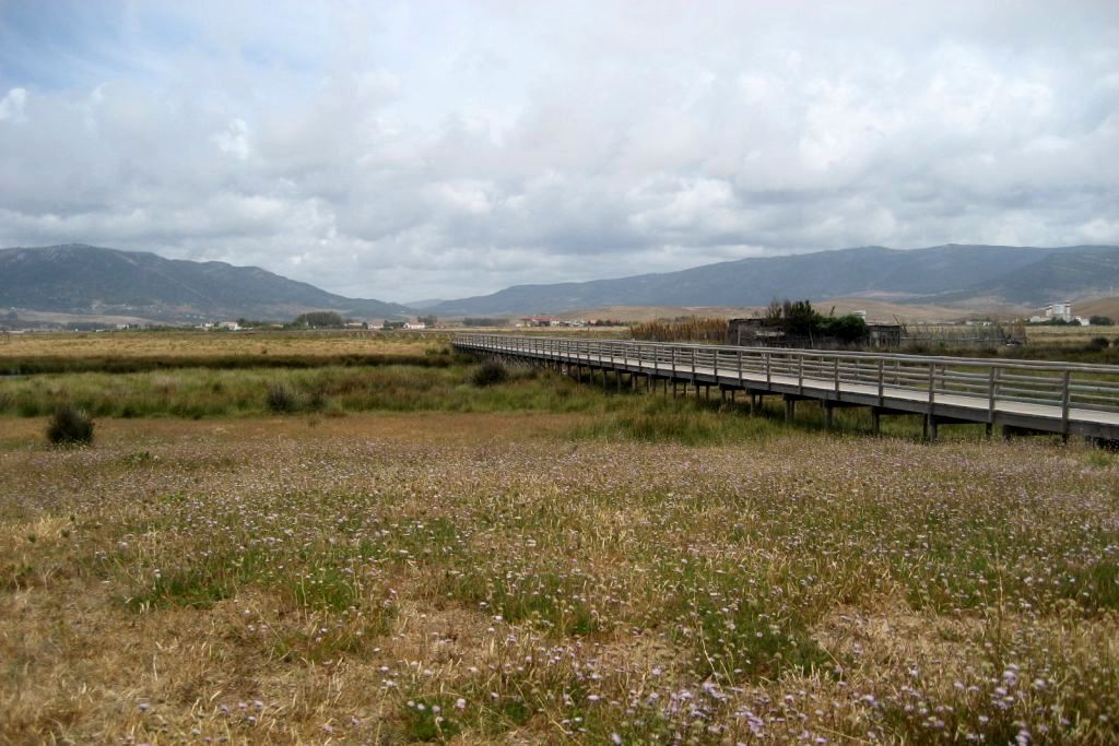 Sendero Lances.jpg