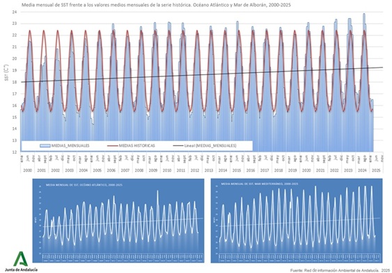 Gráfico de datos