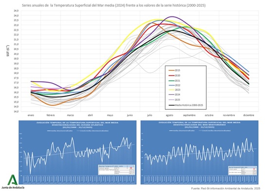 Gráfico de datos