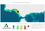 Ampliar imagen