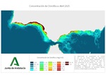 Ampliar imagen