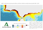 Ampliar imagen