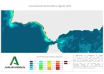 Ampliar imagen