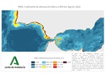 Ampliar imagen