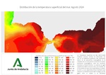 Ampliar imagen