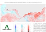 Ampliar imagen